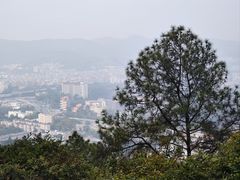 -火炉山森林公园