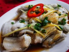 清蒸九肚鱼-蛇口康乐快餐鱼仔档(翠苑小区店)