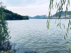 -紫金山山顶公园