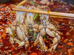 -鸿顺老铁锅美蛙鱼府(解放碑店)