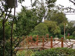 -郑州银基黄帝宫御温泉