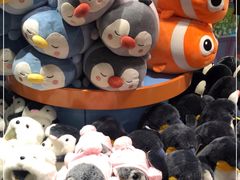 -海合安武汉极地海洋公园