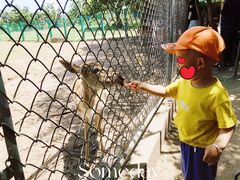 -西安秦岭野生动物园