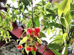 -东山雕花楼