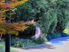 -苏州河梦清园环保主题公园