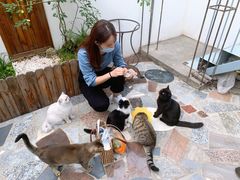 -喵屿·大理花园猫咖