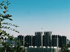 -南翠屏公园