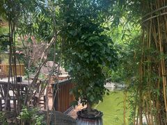 -湖南别院·美学庭院餐厅(惠阳店)
