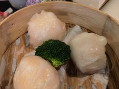 -誉八仙粤菜(万象天地店)