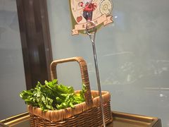 -海底捞火锅(太阳宫凯德mall店)