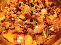 豆鼓鲮鱼蒸排骨-至潮餐厅精致粤菜·活鲈鱼·走地鸡(珠江新城店)