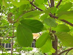 -武汉二七纪念馆