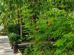 -三亚湾海居铂尔曼度假酒店