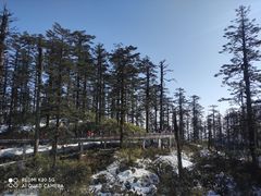 -瓦屋山景区