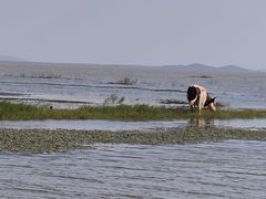 -道口童仔鸡(友谊街店)