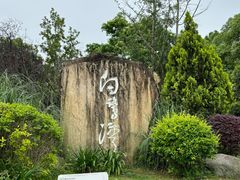 -白鹭湾湿地公园