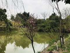 -茱萸湾风景区-售票处