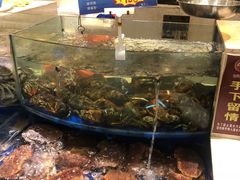 水产区-海景壹号大酒店(滨湖店)