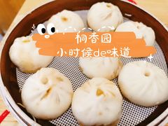 -桐香园小笼包(百井坊巷店)