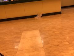 -上海中医药大学附属曙光医院(东部)