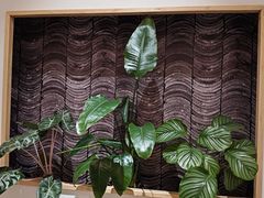 -脊美正骨·推拿·整脊(KKmall京基100店)