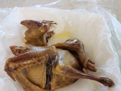 -百利鸽王(紫薇路店)