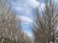 -通辽森林公园