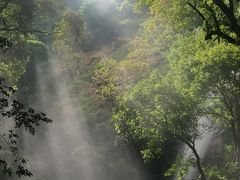 -莫里热带雨林景区