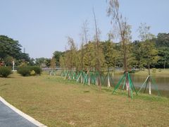 -东莞植物园