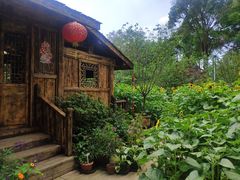 -南山植物园