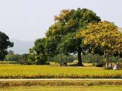 -良渚古城遗址公园