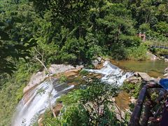 -海南热带雨林国家公园吊罗山景区