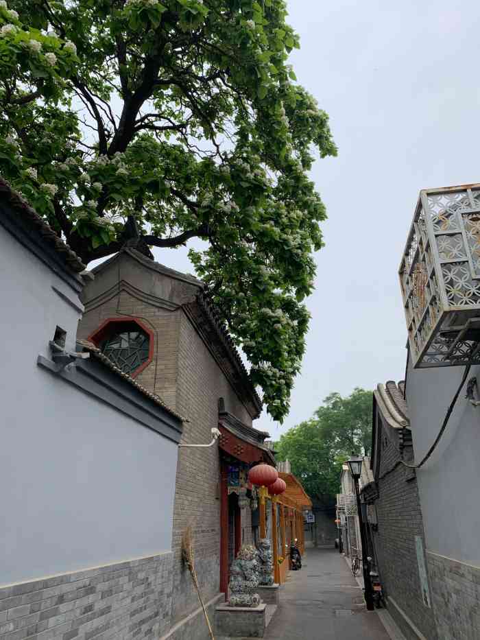 东四二条社区-"经常走的一条胡同.过年之前又重新走了一.