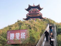 -南大港湿地风景区