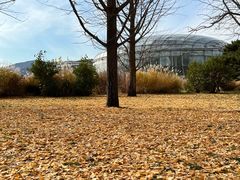 -国家植物园南园