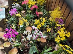 -国家植物园南园