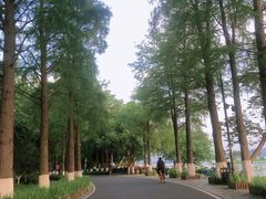-东湖落雁景区