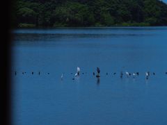 -海珠湖公园
