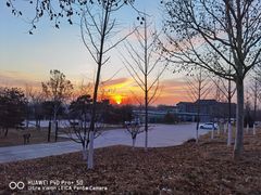 -北京西山国家森林公园