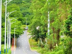 -黄埔油麻山森林公园