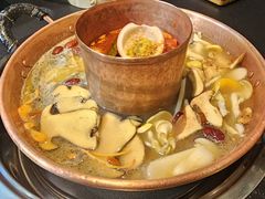 -菌自由丨野生菌火锅特色庭院餐厅(丽江古城店)