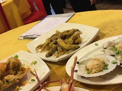 -鸿达渔港