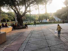 -金砂公园