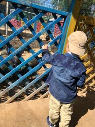 -萌宠亲子动物乐园(槐房万达店)