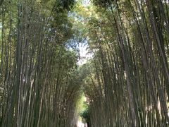 -上海市龙华烈士陵园