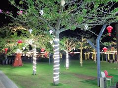 -锦里海景海鲜餐厅.三亚老字号(亚龙湾中心广场店)