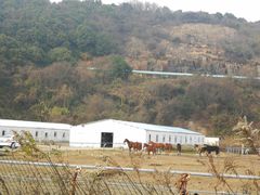 -平湖九龙山旅游度假区