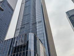 -淮香国色·淮扬菜(正大中心店)