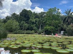 -中国科学院西双版纳热带植物园