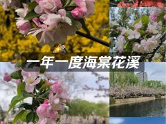 -元大都城垣遗址公园
